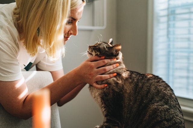 Veterinarians in Amsterdam