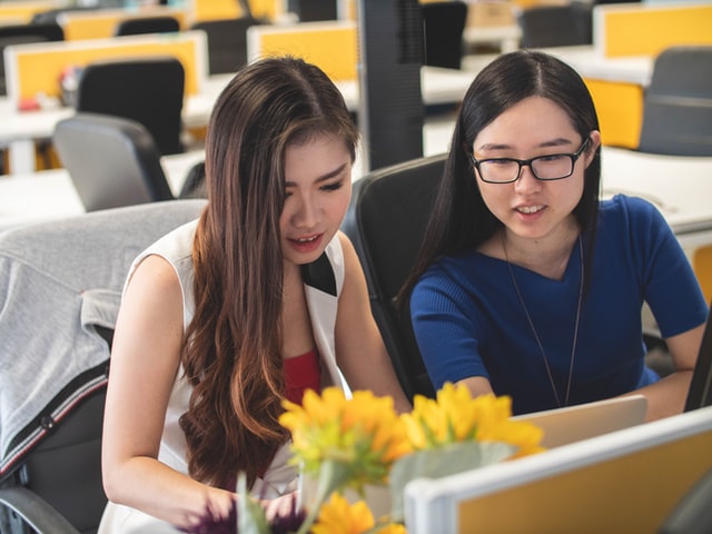 Career Coaching & Training in the Netherlands